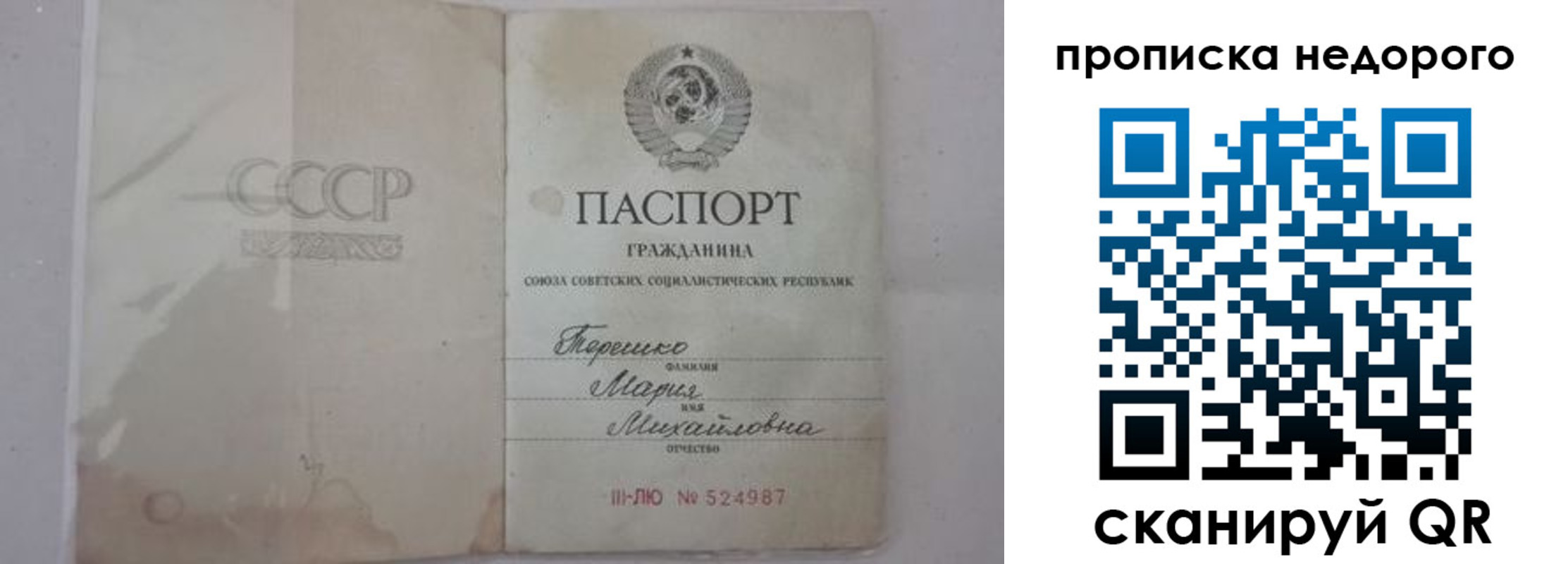 где прописаться в Павловском Посаде